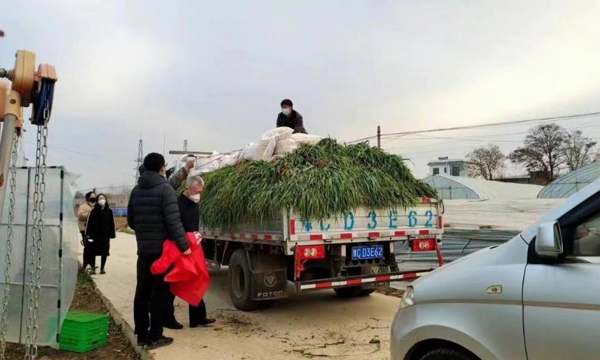 郑州最新政策重塑城市吸引力与活力，关键举措出炉！